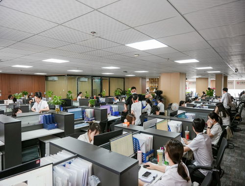 2026年四川企業(yè)如何選擇代理記賬 五大服務(wù)商深度測(cè)評(píng)與選型指南