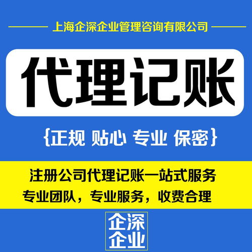 專(zhuān)業(yè)嘉定區(qū)財(cái)務(wù)代理與商務(wù)代理代辦服務(wù)助力企業(yè)發(fā)展