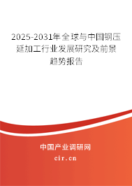 2025年鋼壓延加工行業(yè)前景展望 轉(zhuǎn)型與機遇并存的關(guān)鍵之年