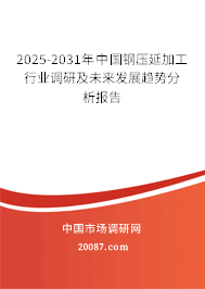 2024年鋼壓延加工行業深度分析 現狀、競爭格局與未來發展趨勢